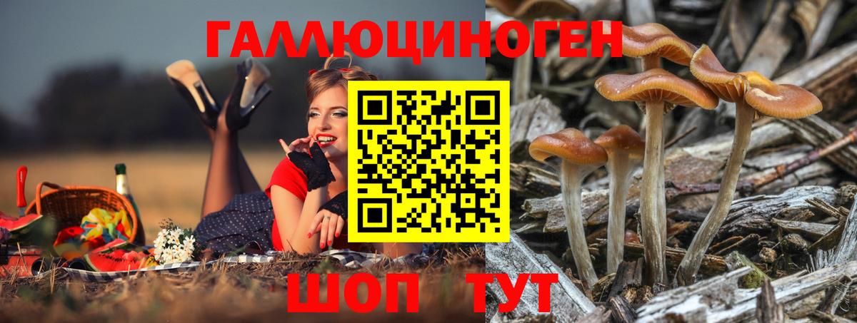 Галлюциногенные грибы мухоморы  Псилоцибиновые грибы мухоморы  Донской  Вход с VPN 