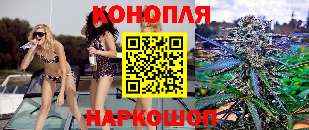 Каннабис семена  Каннабис конопля  Донской  Вход с VPN  Бошки марихуана MAZAR  Конопля OG Kush 
